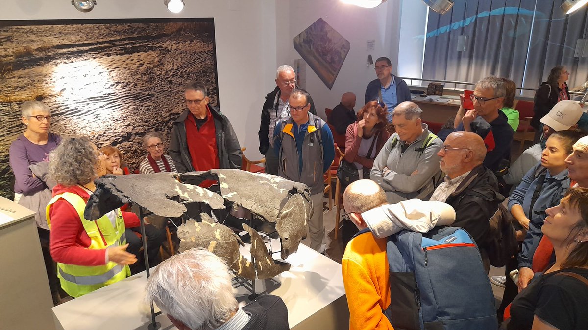 🆕 El XX Geolodía de la provincia de Teruel mostró la paleodiversidad 🐚🐟 de los mares y costas 🏝️ del Paleozoico en Santa Cruz de Nogueras 🆕

👉 Más información en: bit.ly/ExcursiónGeolo…