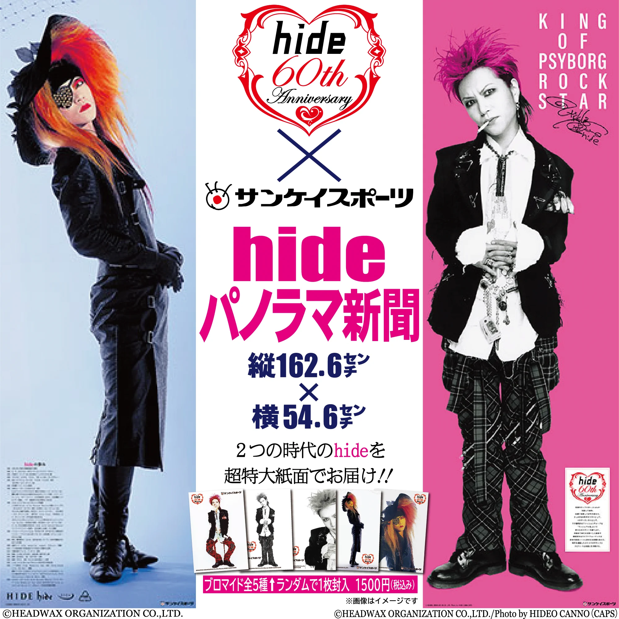 hide official on X: 