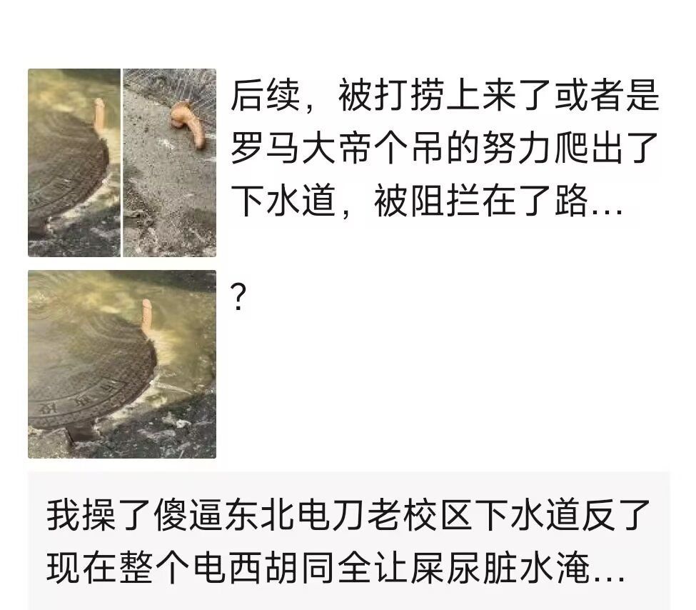 羊毛🐑🐑🐑🐑 (@xiaoniuniu06030) on Twitter photo 