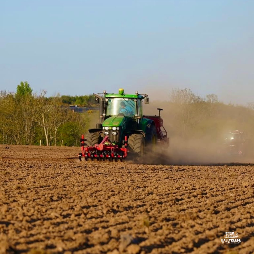 With the sun shining bright over Kilkenny, it’s all systems go on the farm ☀️🌾

Our award winning spirits are straight from our fields to your glass 🥃
Hit the link in our bio to find out more 🍀

#farmlife #kilkenny #distillery #familyownedbusiness #johndeeretractor