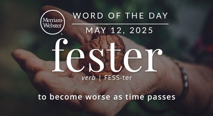 Merriam-Webster Word of the Day May 12, 2025 'fester' verb | FESS-ter "to become worse as time passes" Background Image: a rotten walnut in a hand