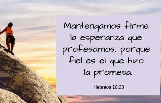 P. Francisco Ramírez tweet media