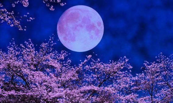 香（かおり）🪄🪭 on X