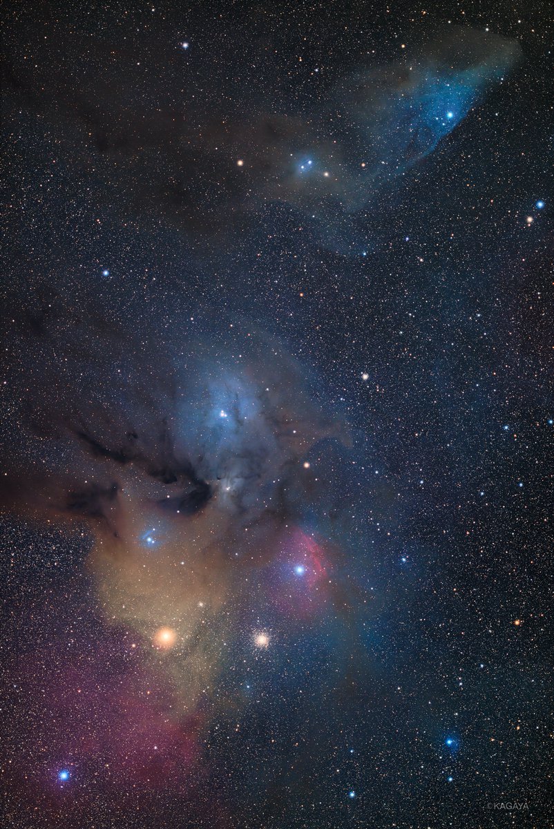 天頂に輝くさそり座と天の川（1枚目）
アンタレス付近のさまざまな色の星雲（2枚目）
南半球のニュージーランドでは、秋から冬の寒い夜に、さそり座が空高く駆け上がります。
（先日、ニュージーランドにて撮影）
今日もお疲れさまでした。