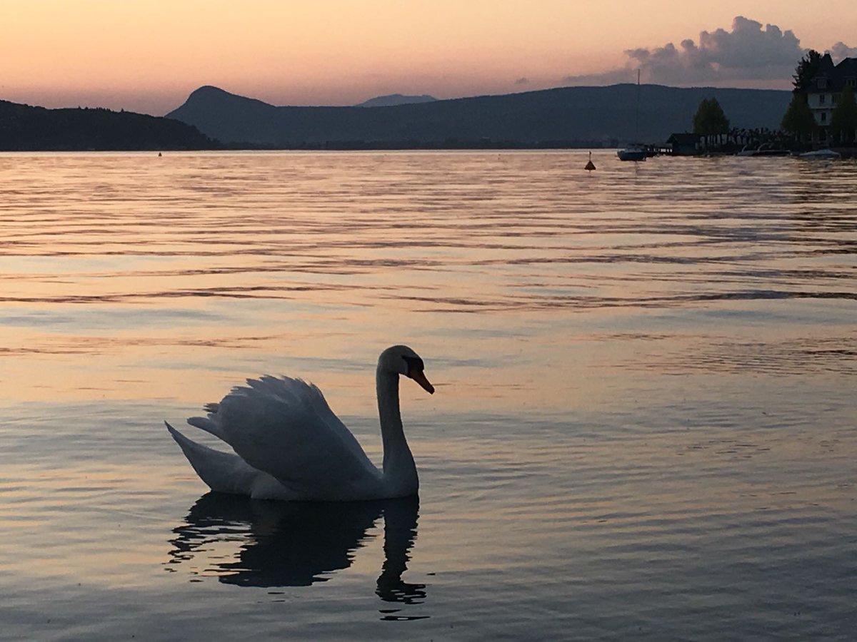 Image de Préfète de la Haute-Savoie