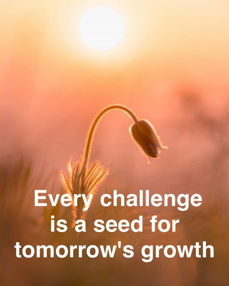 KaurBeant13084's tweet image. #inspirationalquotes #acceptchallenge 
#todaysmotivation