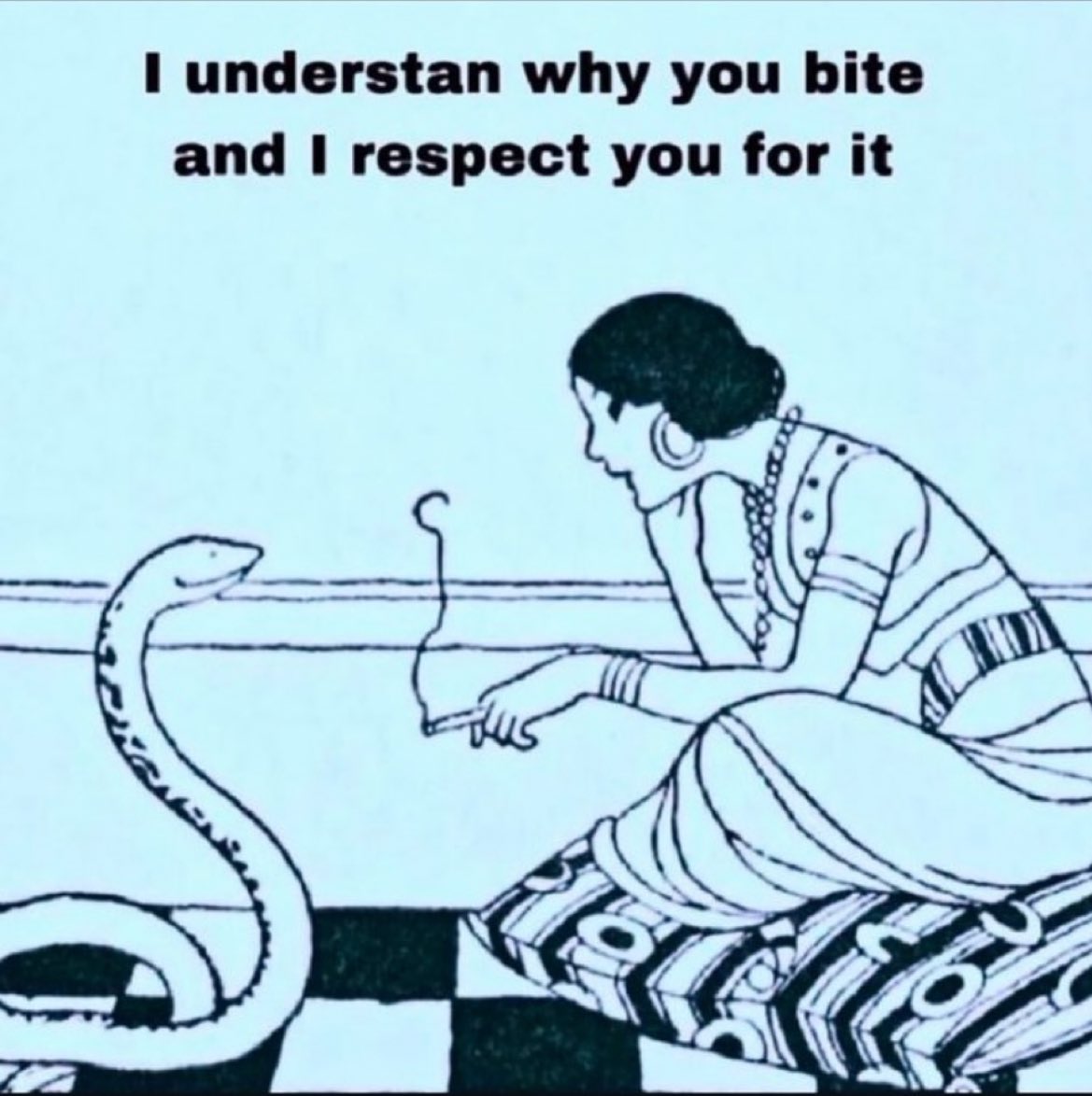 ceciATL's tweet image. happy full moon in scorpio 🌝