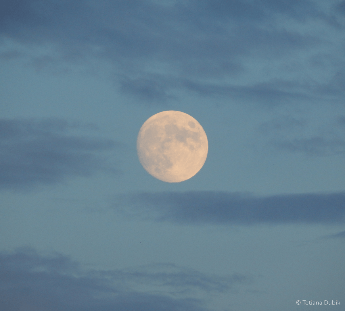 Tonight, look for May's full moon: the Milk Moon. 🌕🐄 

An Anglo-Saxon name, it nods to a time when cows were milked three times daily thanks to lush spring pastures.

Its Native American names, Flower Moon, &amp; Budding Moon, also celebrate spring's abundance. 

Moonrise: 21:33*