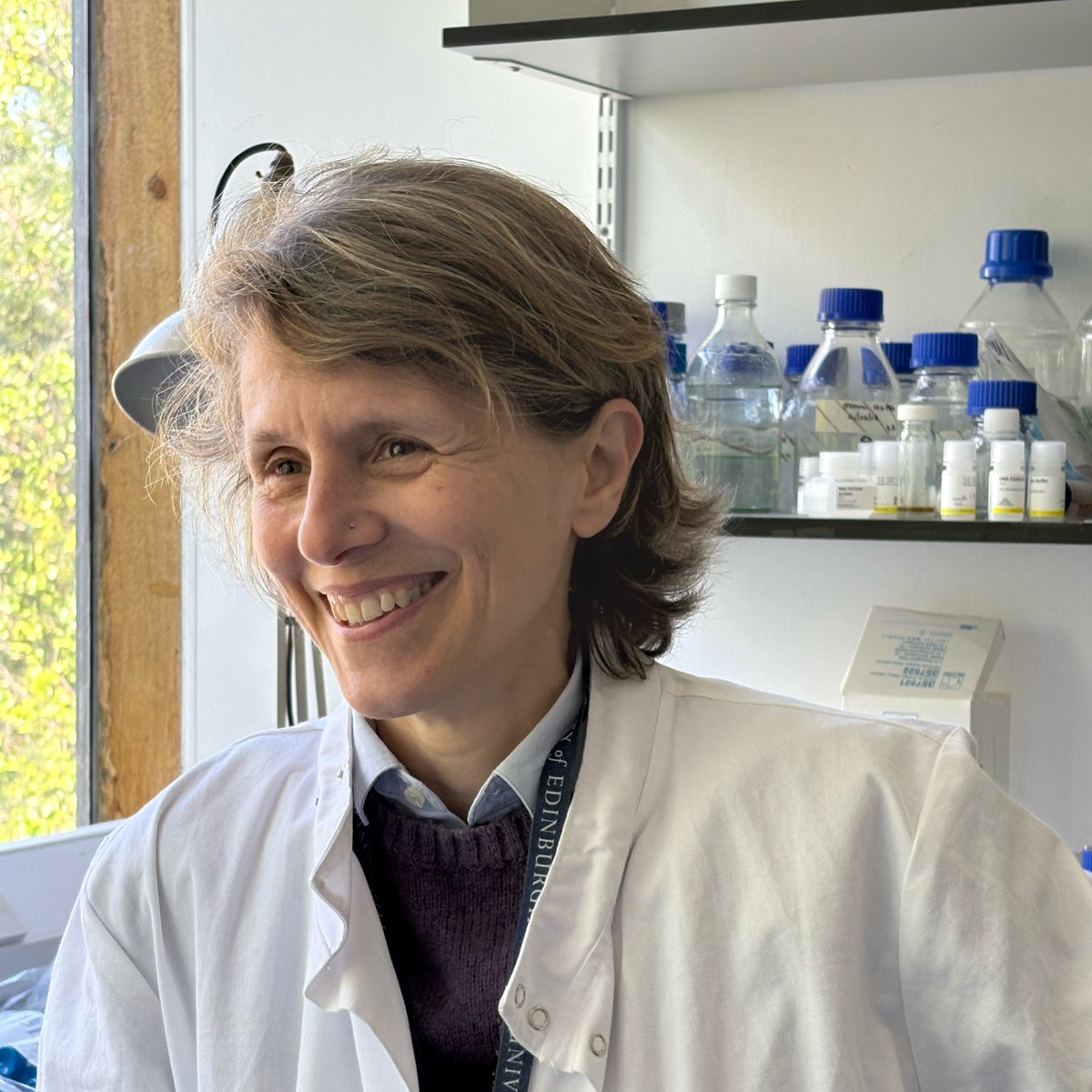 IMP (@impvienna) on Twitter photo 👩🔬New Alumni Portrait online!
We spoke with former IMP PhD student Sara Buonomo, now Professor at <a href="/EdinburghUni/">The University of Edinburgh</a>, about her academic journey, her time at the IMP, chromosome biology, and mentoring the next generation. 👇
➡️ Full interview: imp.ac.at/career/beyond/… 👩🔬New Alumni Portrait online!
We spoke with former IMP PhD student Sara Buonomo, now Professor at <a href="/EdinburghUni/">The University of Edinburgh</a>, about her academic journey, her time at the IMP, chromosome biology, and mentoring the next generation. 👇
➡️ Full interview: imp.ac.at/career/beyond/…