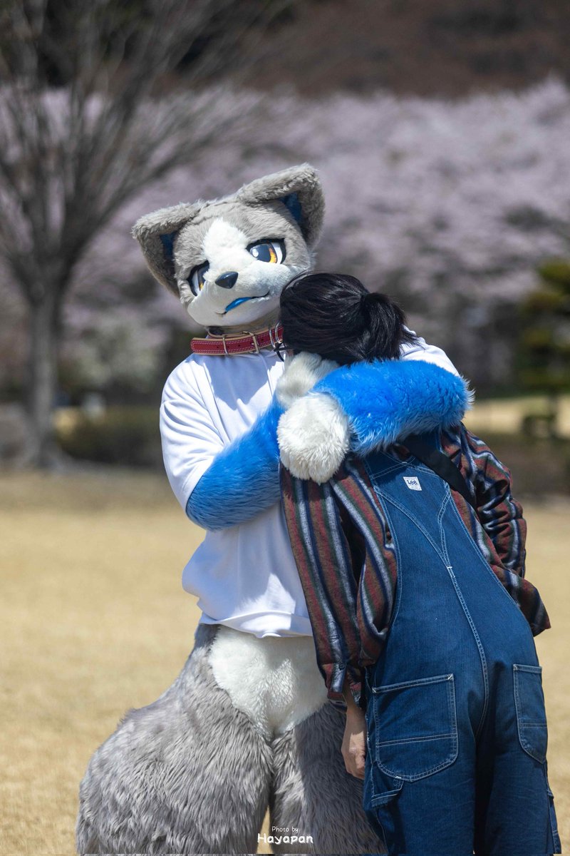 このながれおもろ