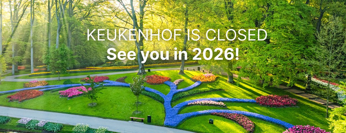 Keukenhof kijkt terug op stralend seizoen

Keukenhof sluit het seizoen 2025 succesvol af. Ruim 1,4 miljoen bezoekers uit alle hoeken van de wereld genoten tussen 20 maart en 11 mei van het kleurrijke lentepark. 

keukenhof.nl/nl/nieuws/keuk…