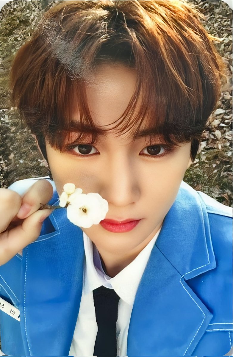 アンシン チョウアンシン ALD1 ボイプラ ボイプラ2 練習生 ステッカー アンシン チョウアンシン ALD1 ボイプラ ボイプラ2 練習生 ステッカー