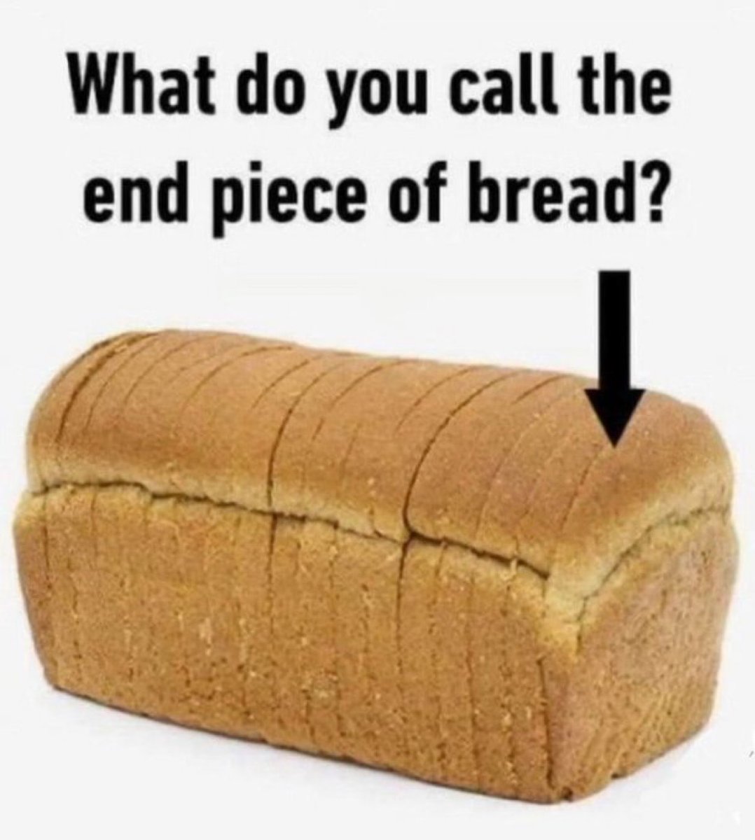 Out of Context Human Race tweet media