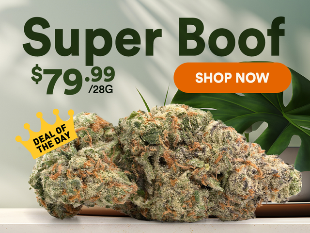 HerbApproach's tweet image. 🚨 DOTD: Super Boof – 28g for $79.99
Name sounds funny, high hits deadly 😵‍💫
Boofy by name, beast mode by nature.
👉herbapproach.com/product-catego…
#DealOfTheDank #SuperBoofed #HerbApproach Treats: SWAR20TW at checkout for 20$ OFF
kingsumo.com/g/m5gdoz3/may-…