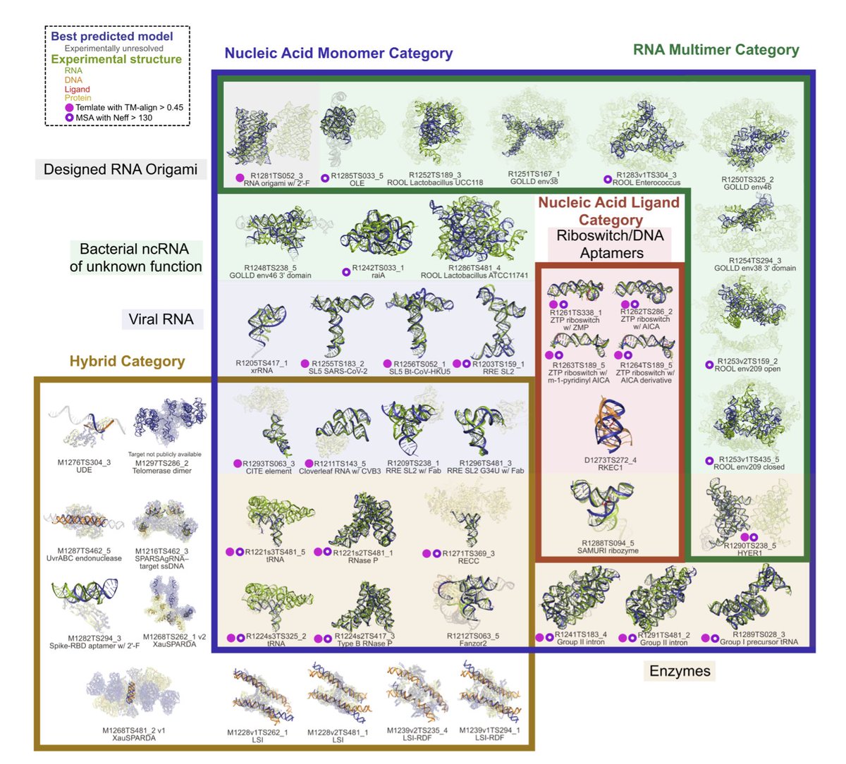 Assessment of nucleic acid structure prediction in CASP16

１．This paper presents a comprehensive assessment of RNA and DNA structure prediction in the CASP16 experiment, highlighting the stark contrast in predictive accuracy between nucleic acids and proteins, despite the rise