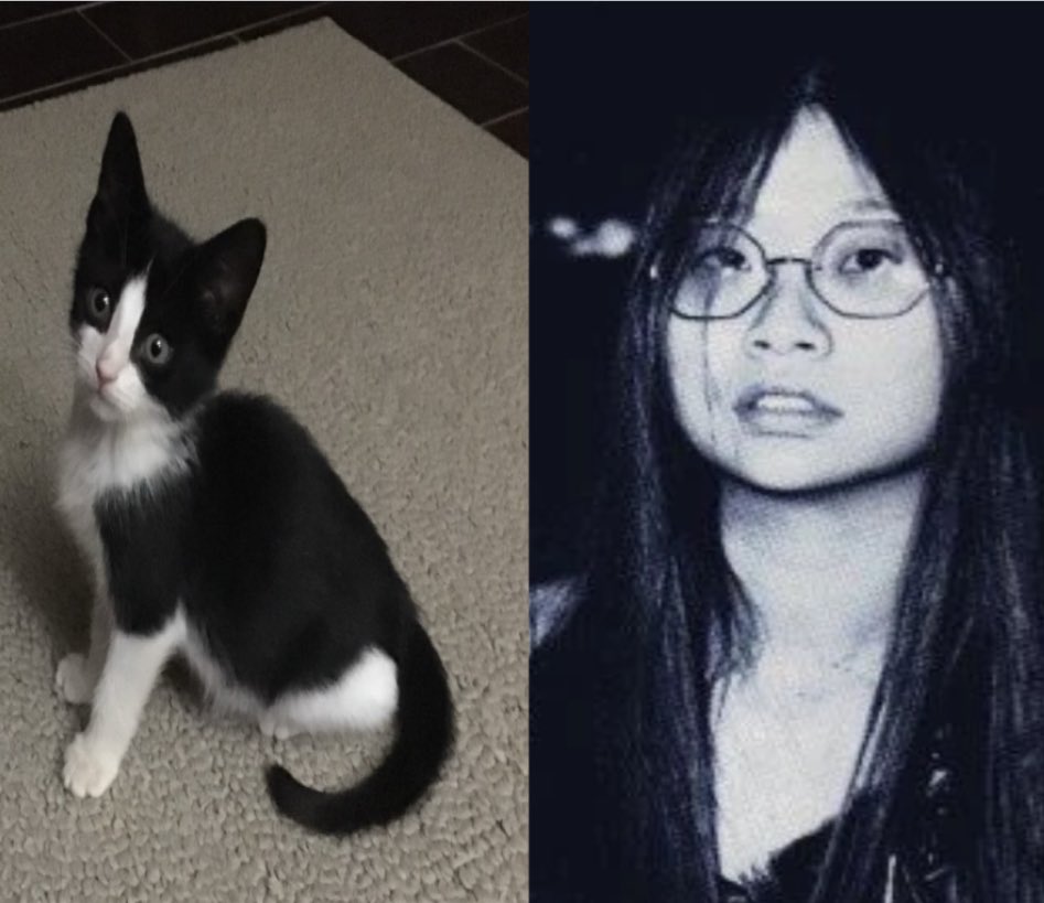 yanda SOAD 5/9 (@yanda08__) on Twitter photo 