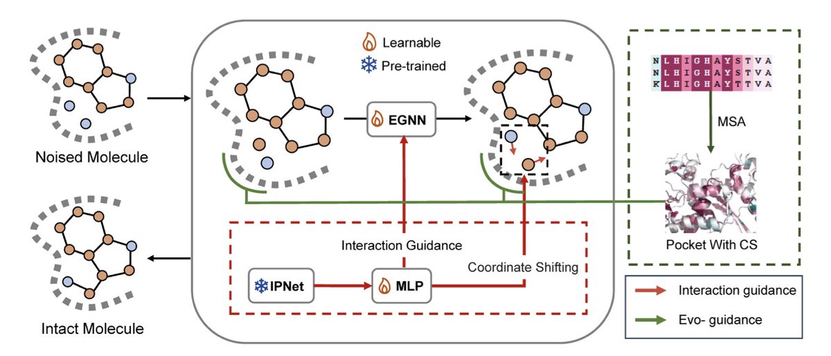 A 3D pocket-aware and evolutionary conserved interaction guided diffusion model for molecular optimization

１．This paper introduces DiffDecip, a novel 3D diffusion model for molecular optimization that explicitly integrates both protein-ligand interaction priors and