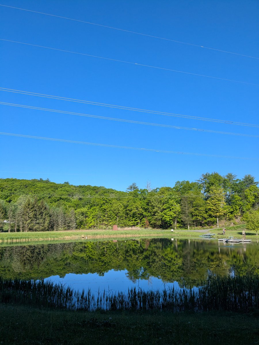 Nancy H (@nhuleatt54300) on Twitter photo 