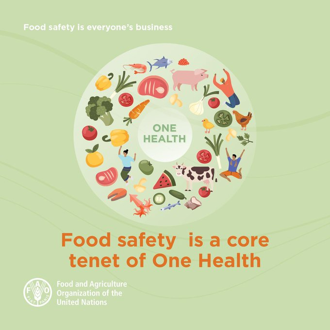 📝 | #OneHealth is an approach to designing and implementing programmes, policies, legislation and research in which multiple sectors communicate &amp; work together to achieve better public health outcomes.

👉It connects people 👨‍🌾👩‍🏫animals🐣🐮 &amp; the environment🌱🌍

#PlantHealthDay