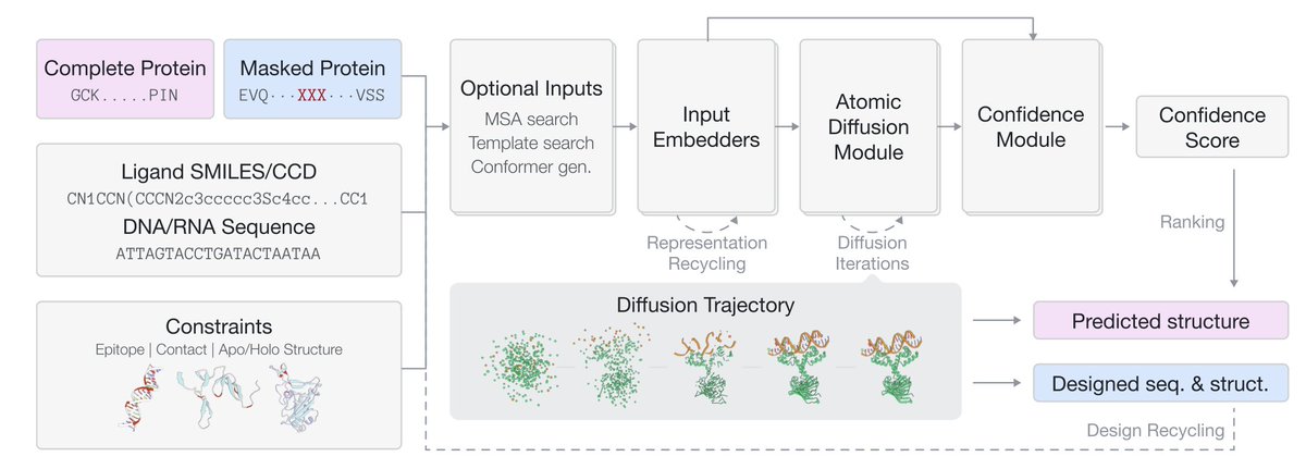 GeoFlow-V2: A Unified Atomic Diffusion Model for Protein Structure Prediction and De Novo Design

１．GeoFlow-V2 introduces a unified atomic diffusion framework that bridges protein structure prediction and de novo design. It supports proteins, nucleic acids, and small molecules,