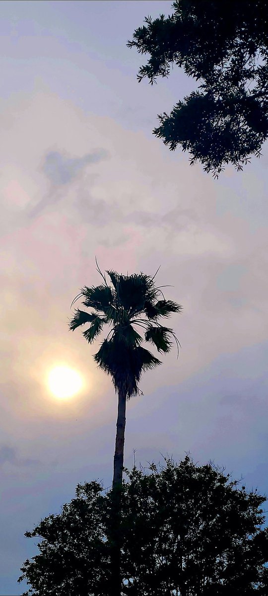 Battle of the skies! 
 Sun expected to prevail this afternoon.
  Happy MONday "Mon" 😎