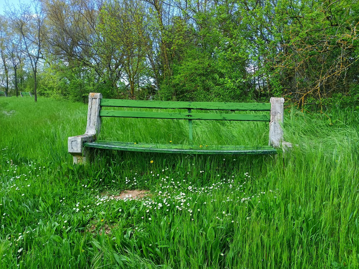 Emma O´Brien (@emma_obrien_e) on Twitter photo 