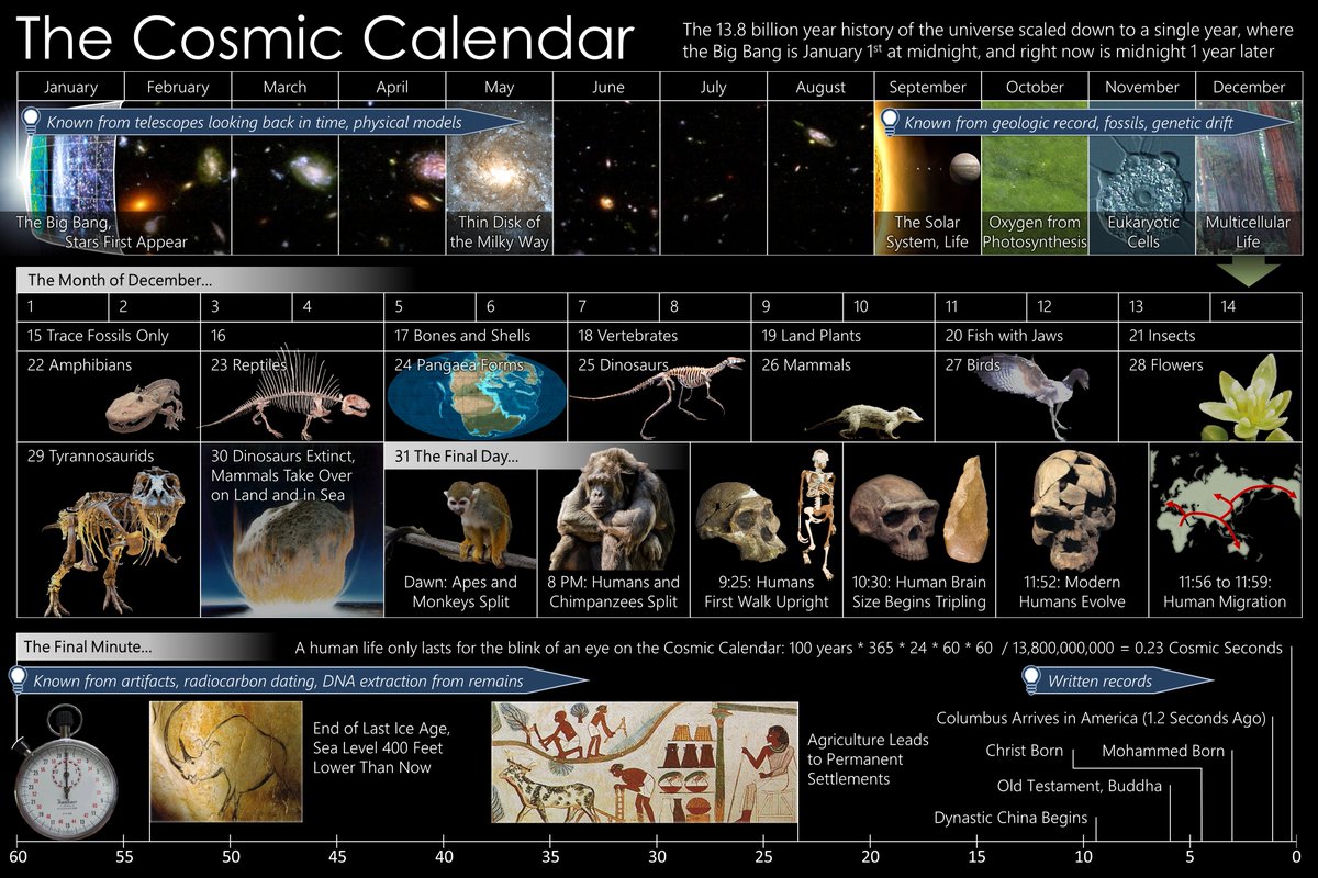 Carl Sagan used the Cosmic Calendar to scale the universe’s 13.8 billion-year history into a single year—making its timeline easier to grasp and teach.
