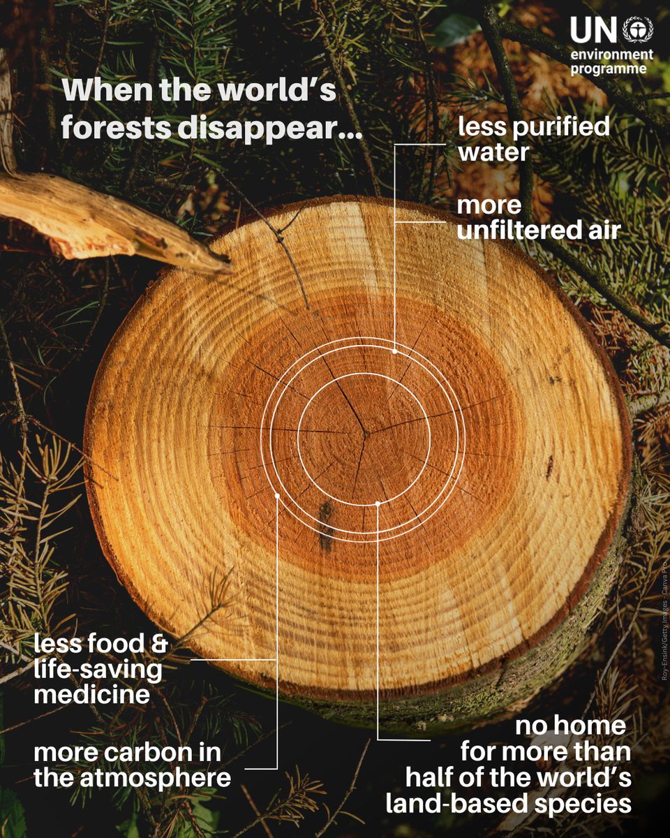 Surender Mehra IFS (@surenmehra) on Twitter photo What happens, when world's forests disappear...🌏🌳
#forests #nature
For more details 👇
unep.org/topics/forests…
Via: <a href="/UNEP/">UN Environment Programme</a> What happens, when world's forests disappear...🌏🌳
#forests #nature
For more details 👇
unep.org/topics/forests…
Via: <a href="/UNEP/">UN Environment Programme</a>