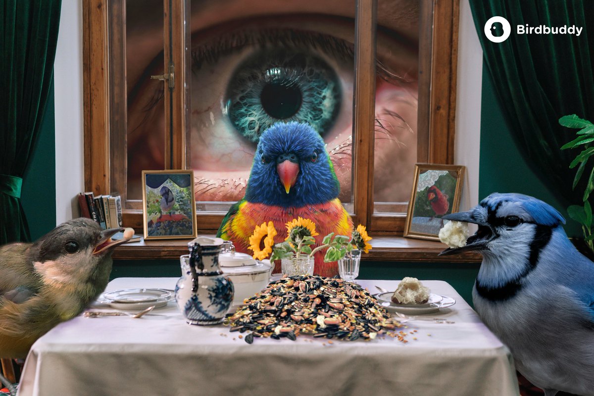 This is not AI-generated.

This is the work of Claire Tulipano, a first-year Advertising and Marketing student who took a surrealist approach to show what it feels like to use Bird Buddy, getting an up-close, personal glimpse into the lives of birds.

Claire, thank you so much