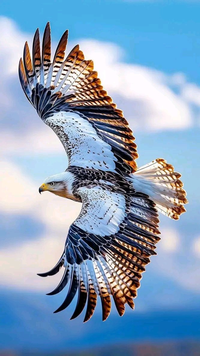 Kelly Thomas (@matteoboce22861) on Twitter photo 