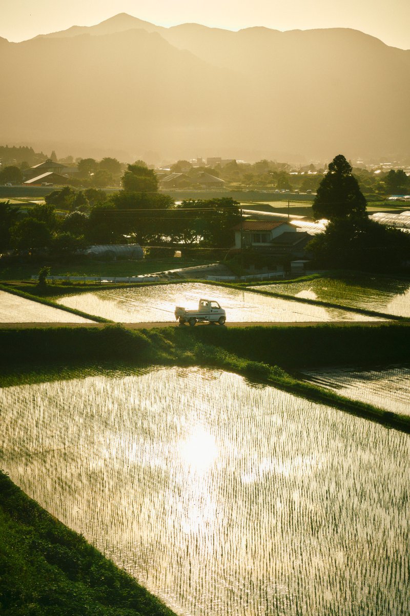 真道 健志 / Shindo Takeshi tweet media