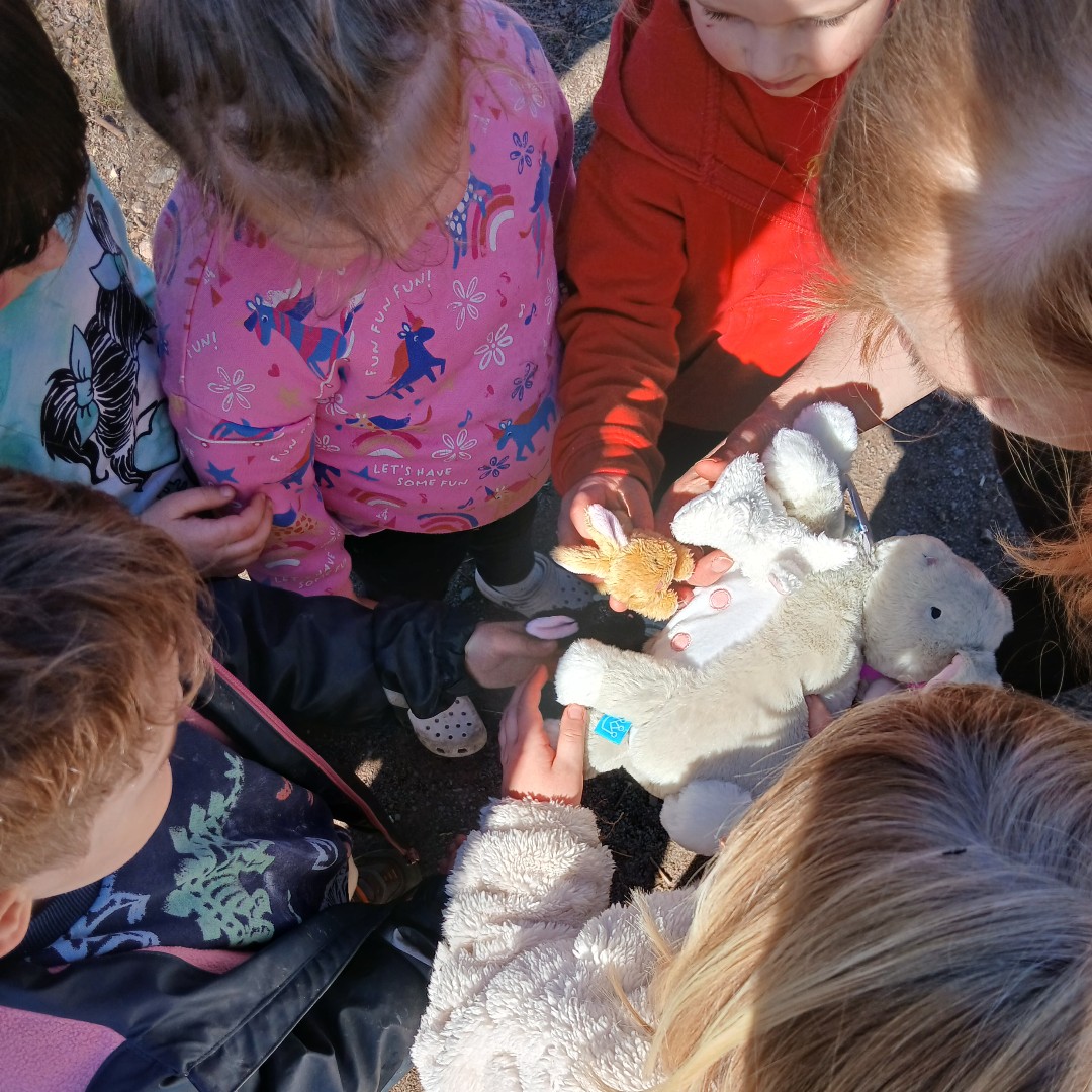 Congratulations to Airlie, Andover, Ladyloan, Abbey View and Ladybird Playgroup for achieving the Breastfeeding Friendly Accreditation Award!

These ELC settings are creating supportive, informed environments for breastfeeding families.

Learn more angus.gov.uk/news/breastfee…