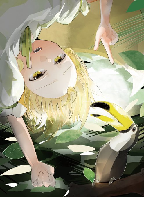 #東方鳥獣圖錄 に寄稿させていただいたイラストです。菅牧×オオハシです。 