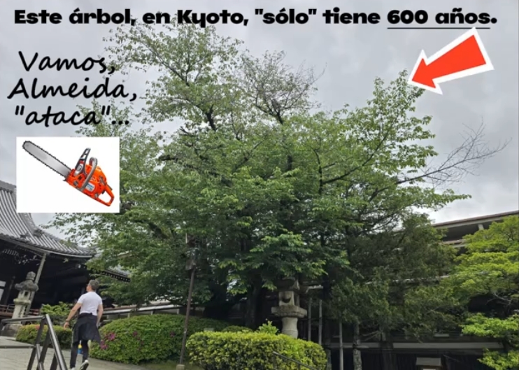 NOCANTONMONTECARMELO (@nocantonmntcrml) on Twitter photo Os lo decimos con una broma...
Talar árboles de forma INJUSTIFICADA y saltándose la ley se llama ARBORICIDIO #Montecarmelo
Ojalá paguéis por lo que habéis hecho.
<a href="/AlmeidaPP_/">José Luis Martínez-Almeida</a> <a href="/MADRID/">Ayuntamiento Madrid</a> <a href="/bcarabante/">Borja Carabante</a> <a href="/Mtnezparamo/">José A Mtnez Páramo</a> Os lo decimos con una broma...
Talar árboles de forma INJUSTIFICADA y saltándose la ley se llama ARBORICIDIO #Montecarmelo
Ojalá paguéis por lo que habéis hecho.
<a href="/AlmeidaPP_/">José Luis Martínez-Almeida</a> <a href="/MADRID/">Ayuntamiento Madrid</a> <a href="/bcarabante/">Borja Carabante</a> <a href="/Mtnezparamo/">José A Mtnez Páramo</a>