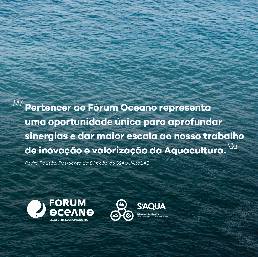 S2AQUAcoLAB's tweet photo. 🌊  S2AQUA joins the Ocean forum! 🌊It is with great enthusiasm that we share the news that S2AQUAcoLAB has   joined Forum Oceano - Association of the Economy of the Sea.
#S2AQUA #FórumOceano   #EconomiaAzul #Inovação #Sustentabilidade #Aquacultura #BlueEconomy  #MarPortugal https://t.co/PDxlO811ku