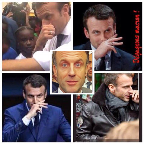 Tapyoka tweet media
