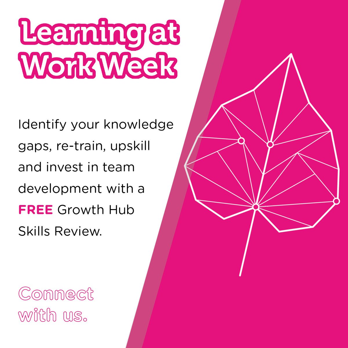 Did you know that it's officially Learning at Work Week? Why not take some time over the next couple of days to think about which new skills could benefit your business? We can help you with a FREE Skills Review too and give you a few pointers on how to fill those gaps.