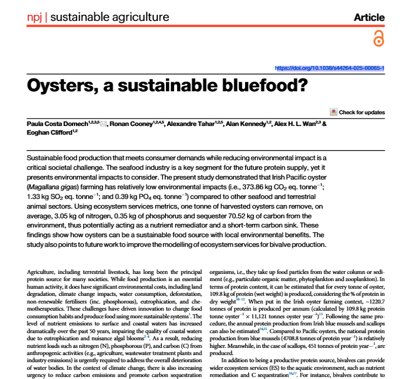 Carna Research Station (@carnaresearch) on Twitter photo 📢📢📢Fresh off the press 📢📢📢
Oysters can be a sustainable food source, in nutrient recycling and low carbon impact.
A collab work between <a href="/UoGalwayEng/">UoGSchoolofEngineering</a> and <a href="/SNSUniofGalway/">SNS@UniversityofGalway</a>
<a href="/uniofgalway/">Ollscoil na Gaillimhe | University of Galway</a> <a href="/RyanInstitute/">Ryan Institute @ University of Galway</a> <a href="/BordIascMhara/">Bord Iascaigh Mhara (BIM)</a>
<a href="/MarineInst/">Marine Institute</a>
doi.org/10.1038/s44264… 📢📢📢Fresh off the press 📢📢📢
Oysters can be a sustainable food source, in nutrient recycling and low carbon impact.
A collab work between <a href="/UoGalwayEng/">UoGSchoolofEngineering</a> and <a href="/SNSUniofGalway/">SNS@UniversityofGalway</a>
<a href="/uniofgalway/">Ollscoil na Gaillimhe | University of Galway</a> <a href="/RyanInstitute/">Ryan Institute @ University of Galway</a> <a href="/BordIascMhara/">Bord Iascaigh Mhara (BIM)</a>
<a href="/MarineInst/">Marine Institute</a>
doi.org/10.1038/s44264…
