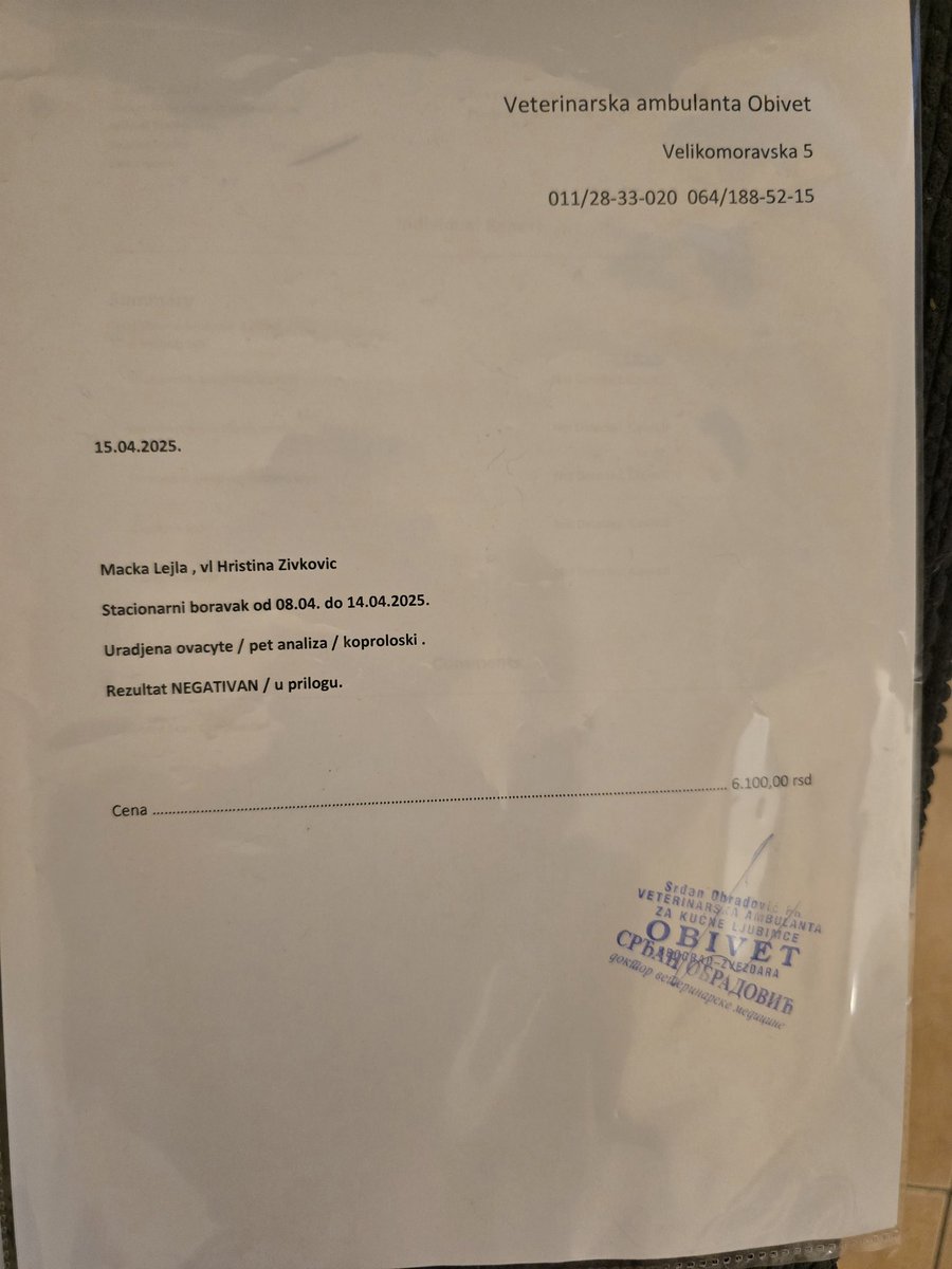 Institut za mačku i dete tweet media