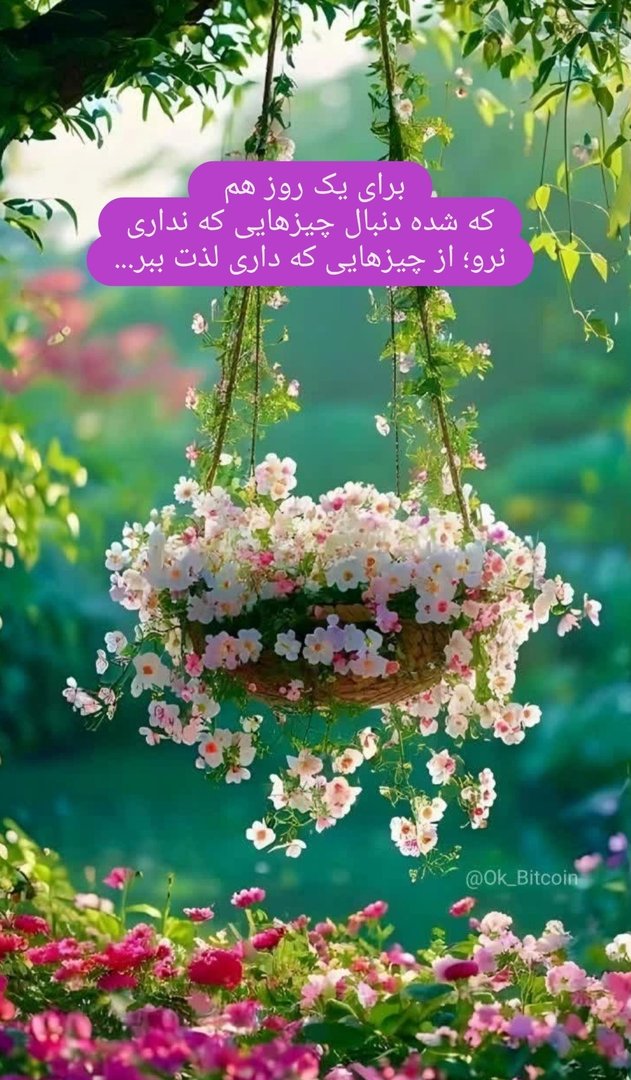 yamahde1401's tweet image. بنظرم بهترین آرزویی که میشه برای کسی کرد "حال خوبه"
یکی با پول حالش خوب میشه
یکی با بودن کنار دلبر
یکی با قرمه سبزی
یکی با چای
من واستون "حال خوب" آرزو میکنم ..
#فالو_بک