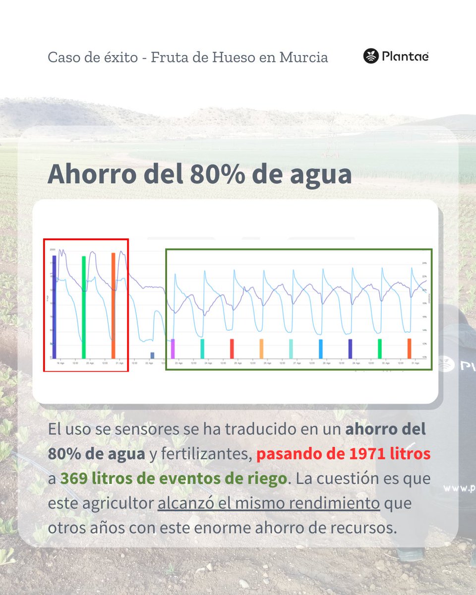 🍑 80% menos agua, mismo rendimiento 💧📉

Este agricultor ha optimizado la estrategia de riego en base a mediciones reales, evitando excesos, mejorando la eficiencia y cuidando los recursos.

🌿La diferencia no está en cuánto riegas, sino en cuándo y por qué lo haces