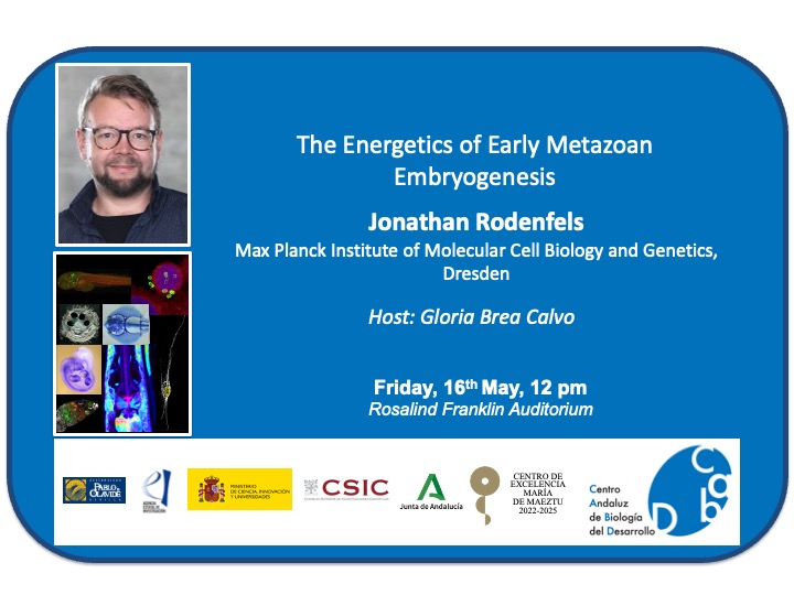 Centro Andaluz de Biología del Desarrollo (@cabd_upo_csic) on Twitter photo #CABDseminars
"The Energetics of Early Metazoan Embryogenesis" by <a href="/J_Rodenfels/">Jonathan Rodenfels</a>, <a href="/mpicbg/">MPI-CBG Dresden</a>
🗓️May 16th
⏰ 12 pm
📍Rosalind Franklin auditorium at CABD
Hosted by <a href="/gloriabreacalvo/">Gloria Brea Calvo</a> #CABDseminars
"The Energetics of Early Metazoan Embryogenesis" by <a href="/J_Rodenfels/">Jonathan Rodenfels</a>, <a href="/mpicbg/">MPI-CBG Dresden</a>
🗓️May 16th
⏰ 12 pm
📍Rosalind Franklin auditorium at CABD
Hosted by <a href="/gloriabreacalvo/">Gloria Brea Calvo</a>