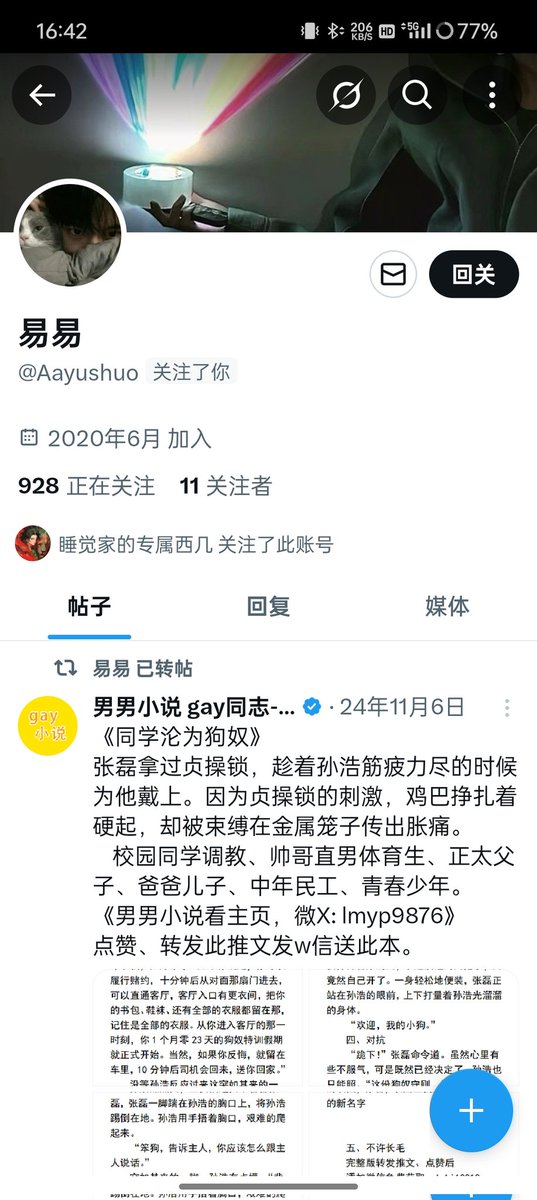 Limerence（走心版） tweet media