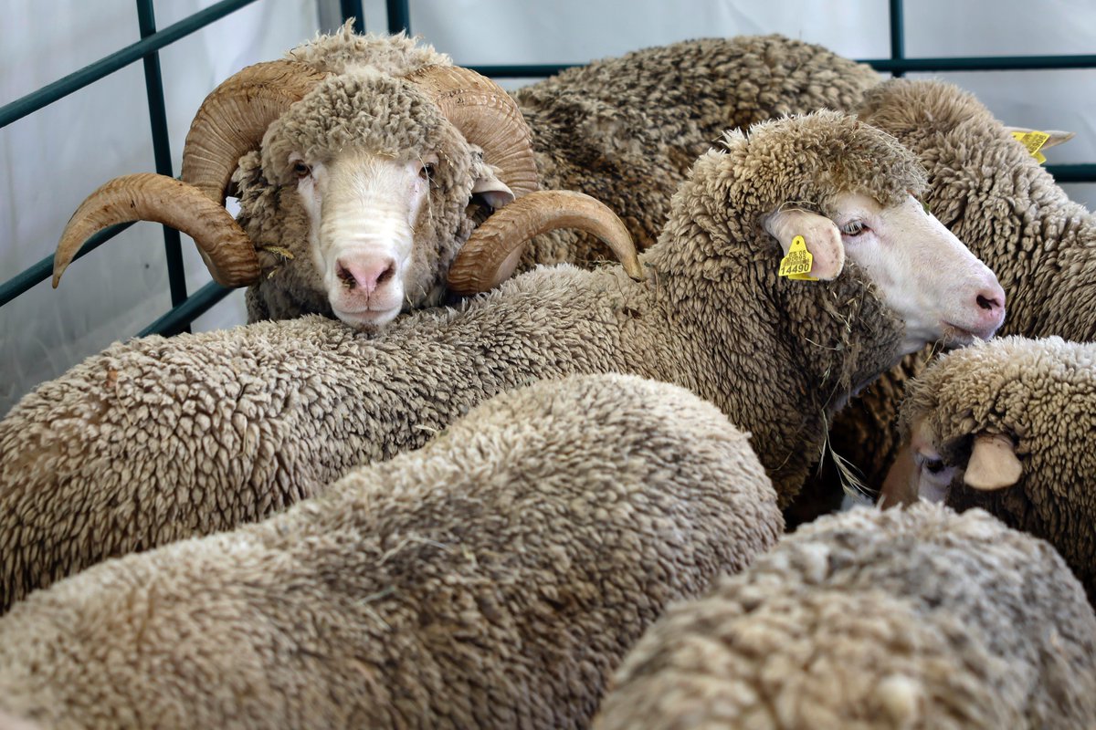 Medio Ambiente | Comunidad de Madrid tweet media