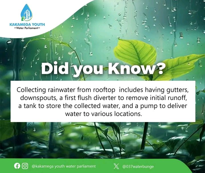 Harchingson Ochieng (@harchingson) on Twitter photo Harvest every drop! Rooftop rainwater collection is smart, sustainable, and secures your water future. Change is with you, Start Now.
<a href="/037WaterBunge/">Kakamega Youth Water Parliament</a>
<a href="/KEWASNET/">KEWASNET</a>
<a href="/_KWAHO/">Kenya Water For Health Organization(KWAHO)</a>
<a href="/Kacwasco/">Kakamega County Water & Sanitation Company</a> Harvest every drop! Rooftop rainwater collection is smart, sustainable, and secures your water future. Change is with you, Start Now.
<a href="/037WaterBunge/">Kakamega Youth Water Parliament</a>
<a href="/KEWASNET/">KEWASNET</a>
<a href="/_KWAHO/">Kenya Water For Health Organization(KWAHO)</a>
<a href="/Kacwasco/">Kakamega County Water & Sanitation Company</a>