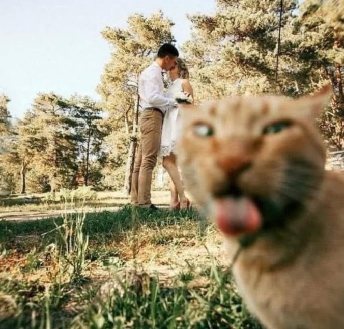 Düğün sezonu açıldı eraftakilere karşı tavrımız herkes evleniyor lan