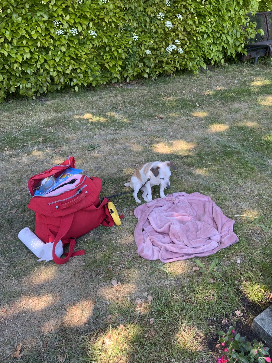 Vrouwtje bewusteloos aangetroffen bij begraafplaats Sneek en naar ziekenhuis gebracht