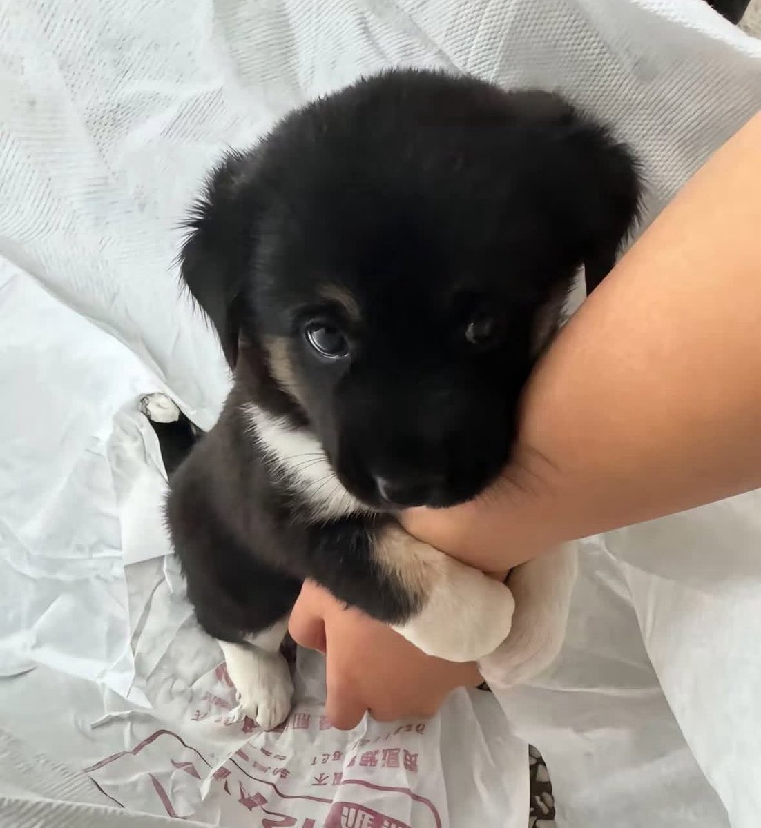 บิบิ๋คับ วานนิ่ยังมั่ยหอมหุวเนยน้า