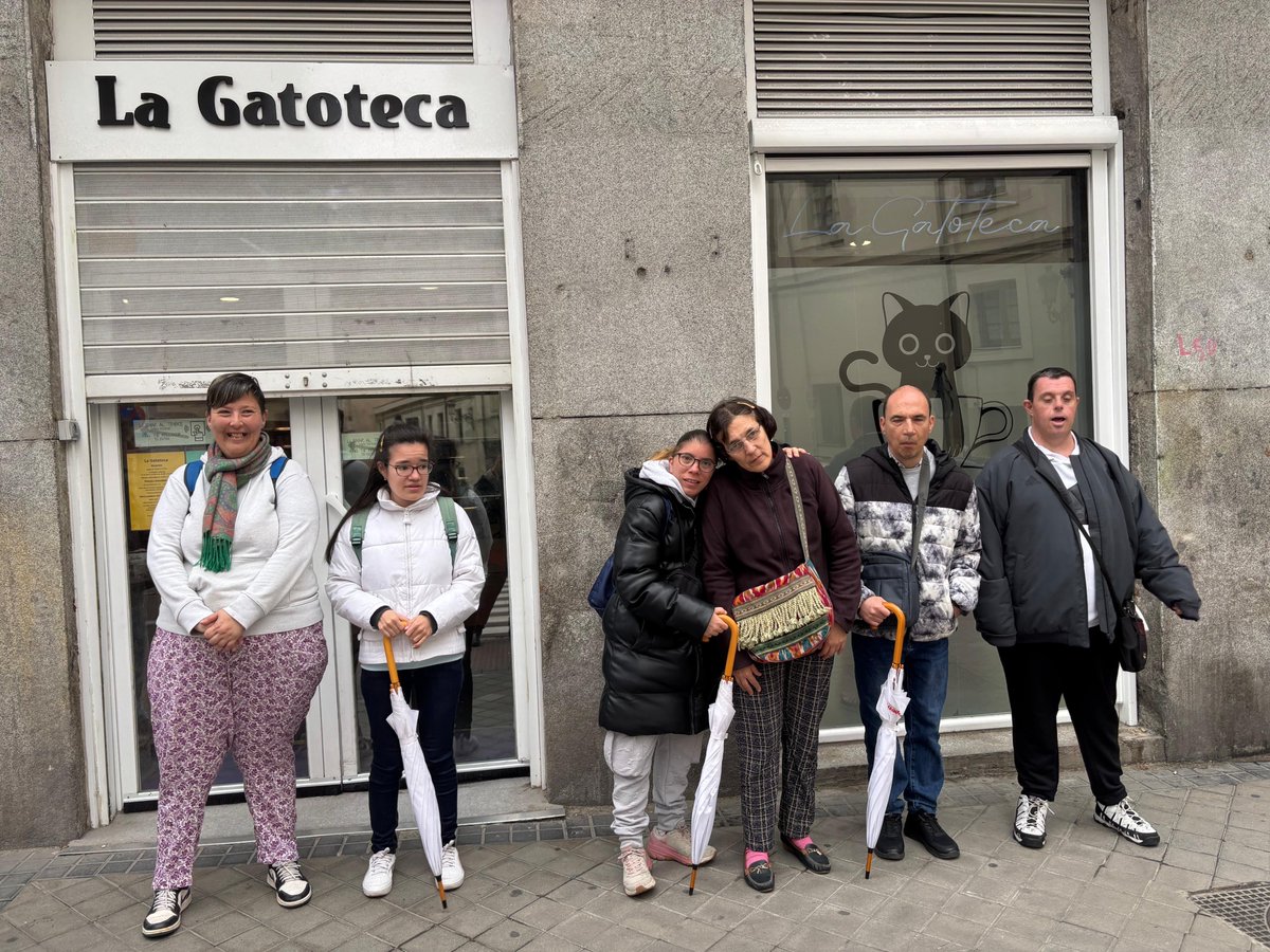 Afandice1's tweet image. Disfrutando de un día gatuno en @lagatoteca 
#interacción #terapia #emociones