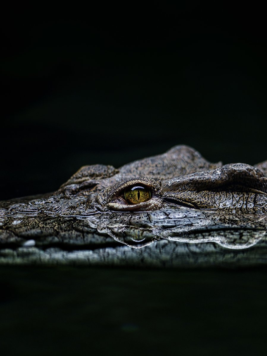 カメラオタクが動物園に行くとこうなる